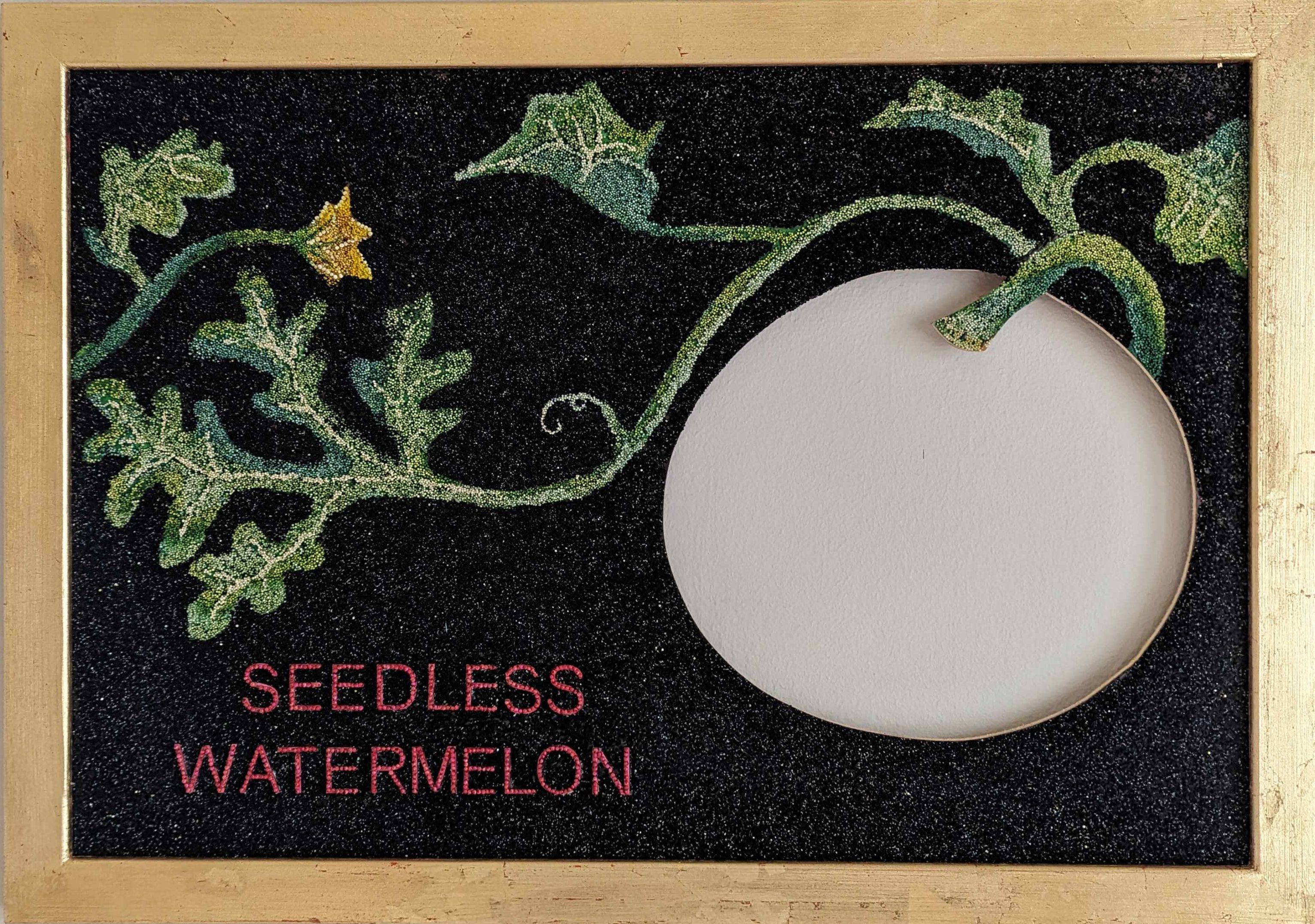 [Tony Pfaff Seedless Watermelon image]